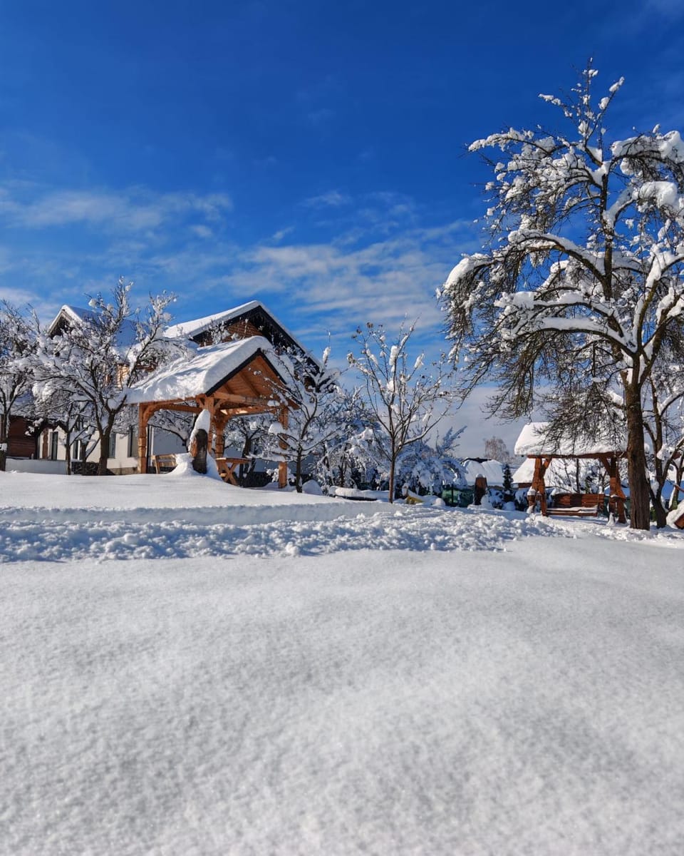 Cabana Maramures Landscape House in Romania