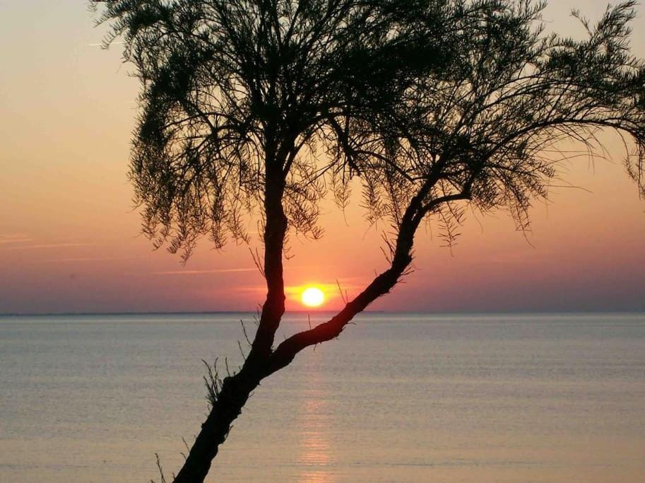 Sea view, Sunset