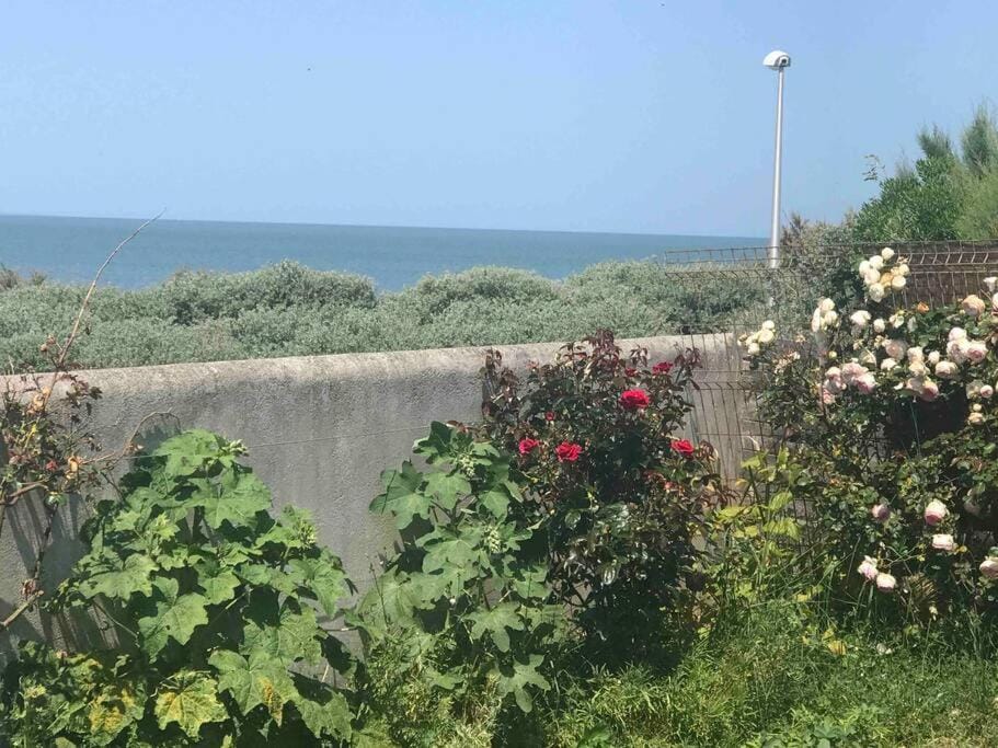 Natural landscape, Sea view