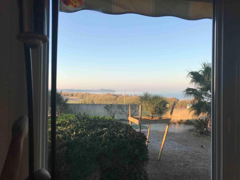Natural landscape, Garden, Sea view