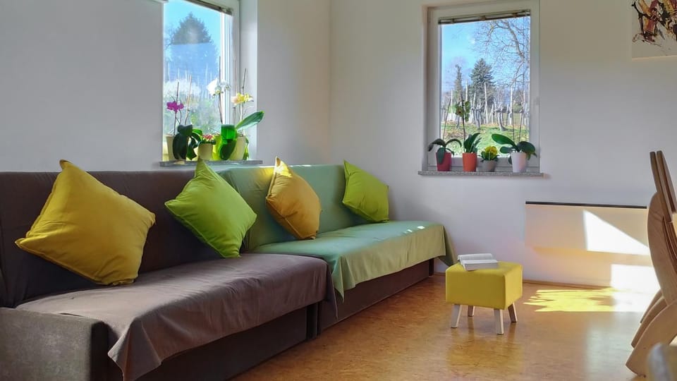 Summer, View (from property/room), Living room, Seating area, Time of day