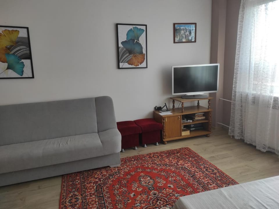Bed, TV and multimedia, Seating area