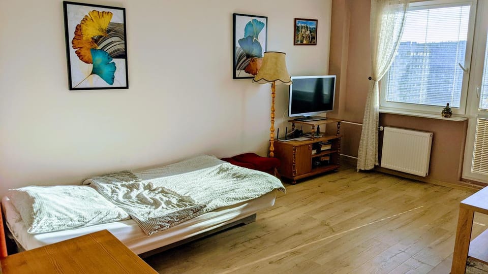 Bed, TV and multimedia