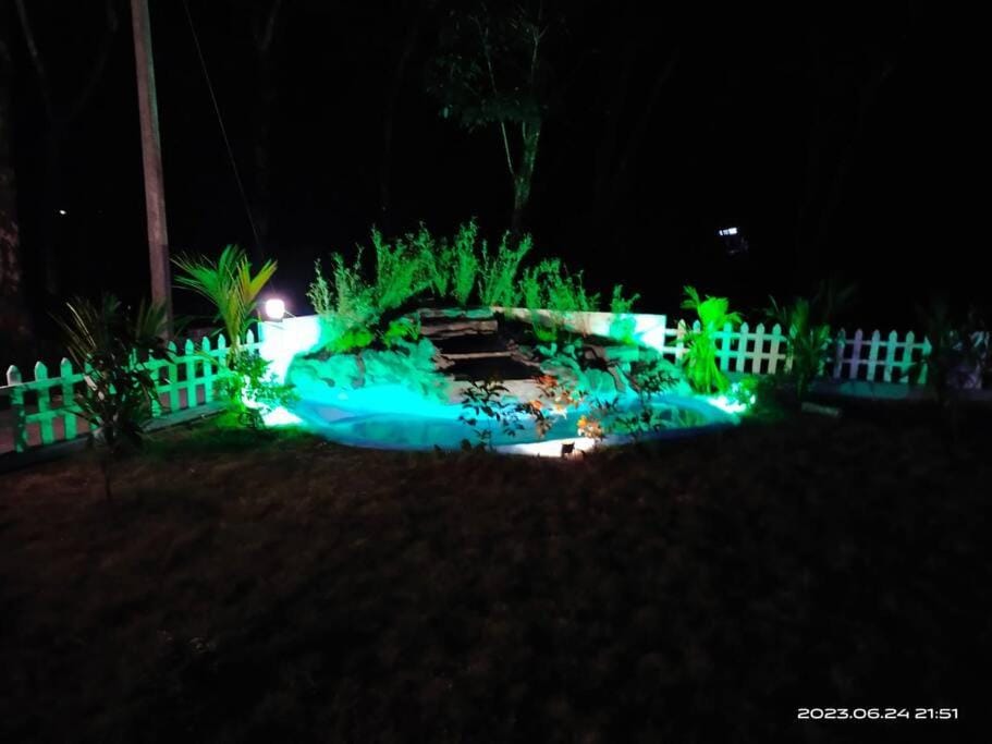 Night, Garden view