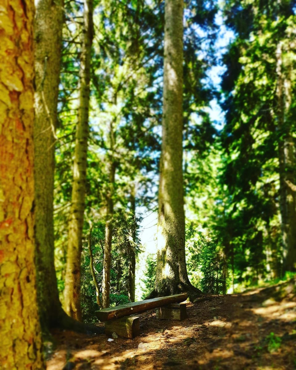 Natural landscape