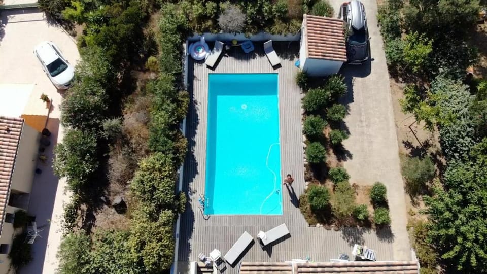 Garden, Pool view, Swimming pool