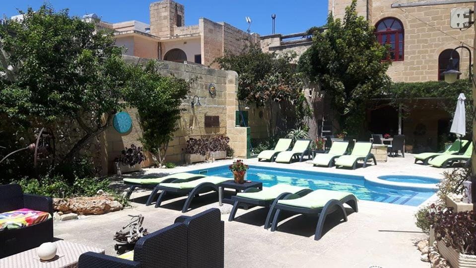 Garden, Pool view, Swimming pool, sunbed