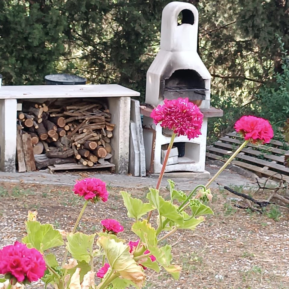 Day, Garden