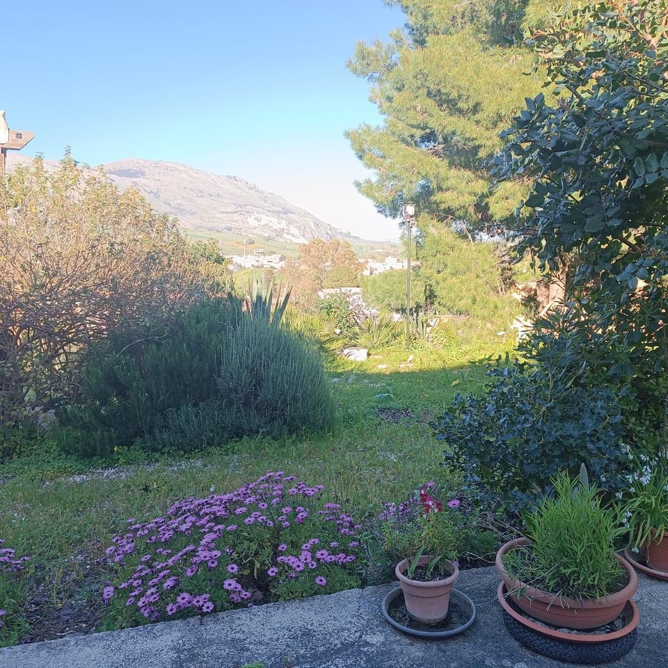 Spring, Natural landscape, Garden