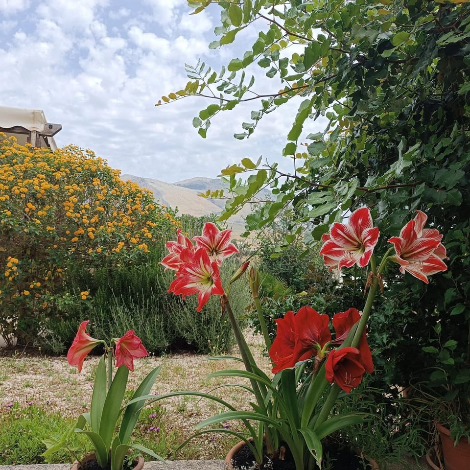 B&B Baglio Ferlito Bed and Breakfast in Sicily