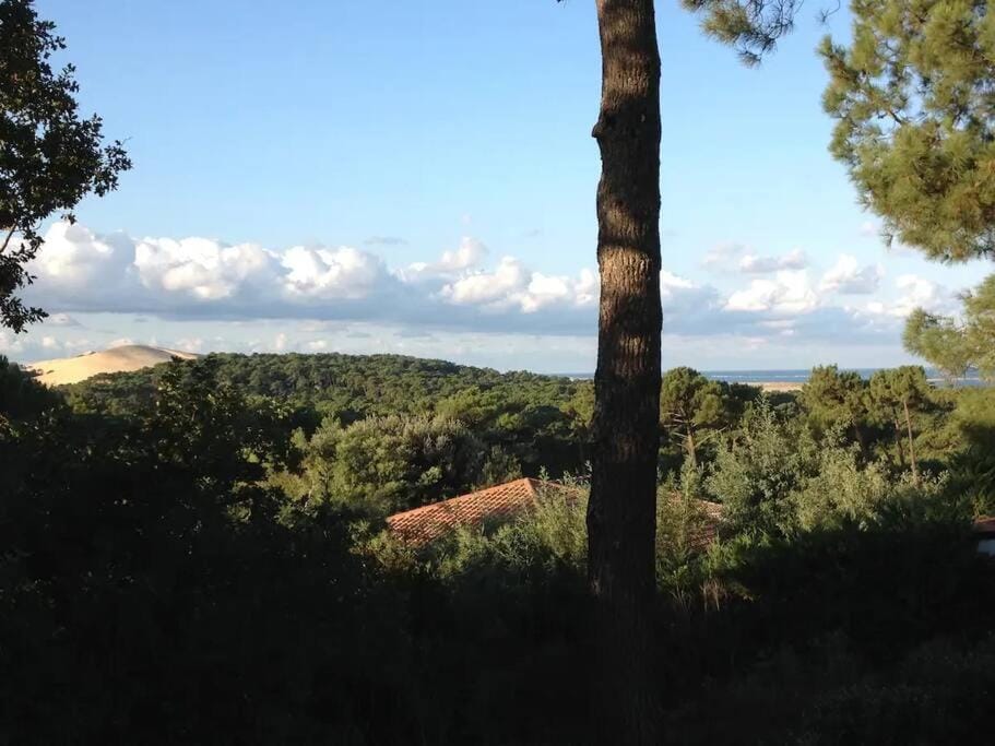 Pyla Villa DE LA DUNE Promo 2026 Villa in La Teste-de-Buch