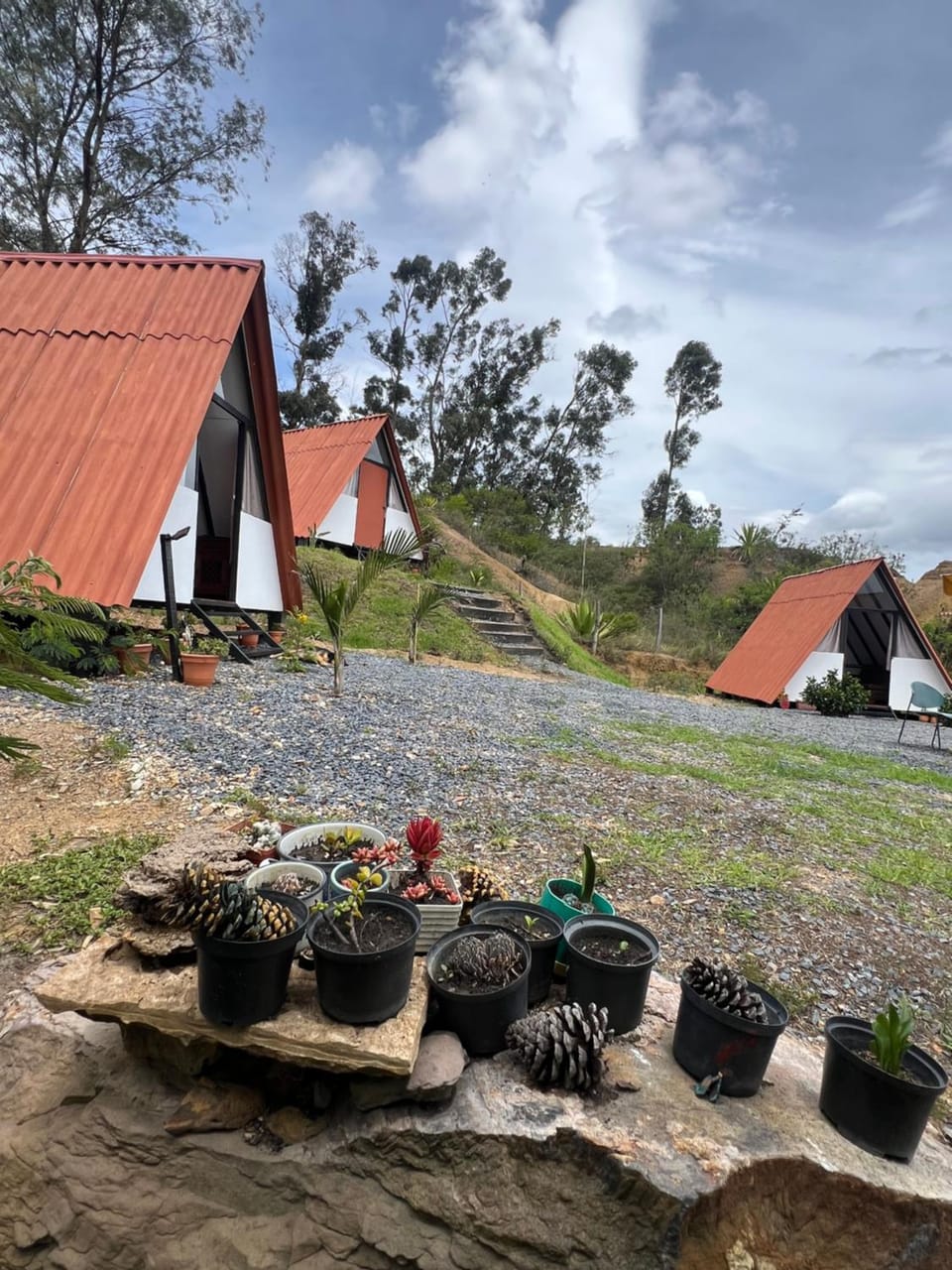 Villa Minta Cabañas Bed and Breakfast in Boyaca