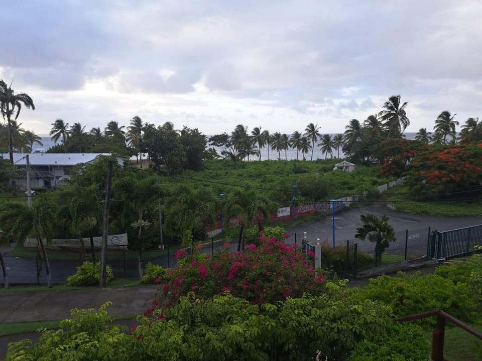 Day, Natural landscape, Garden, Garden view