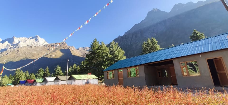 Property building, Natural landscape