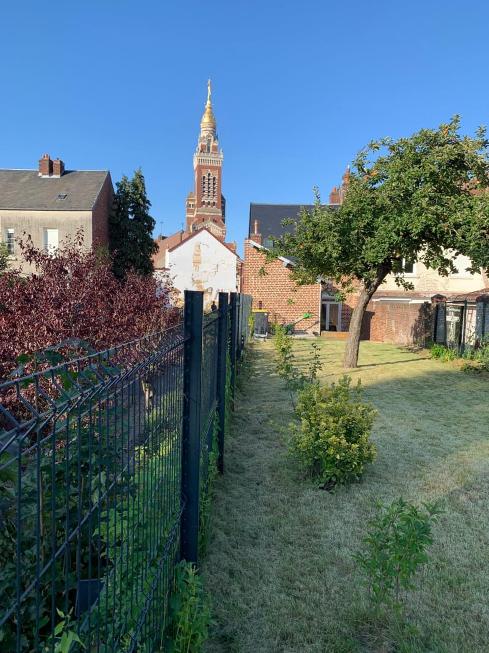 Garden view