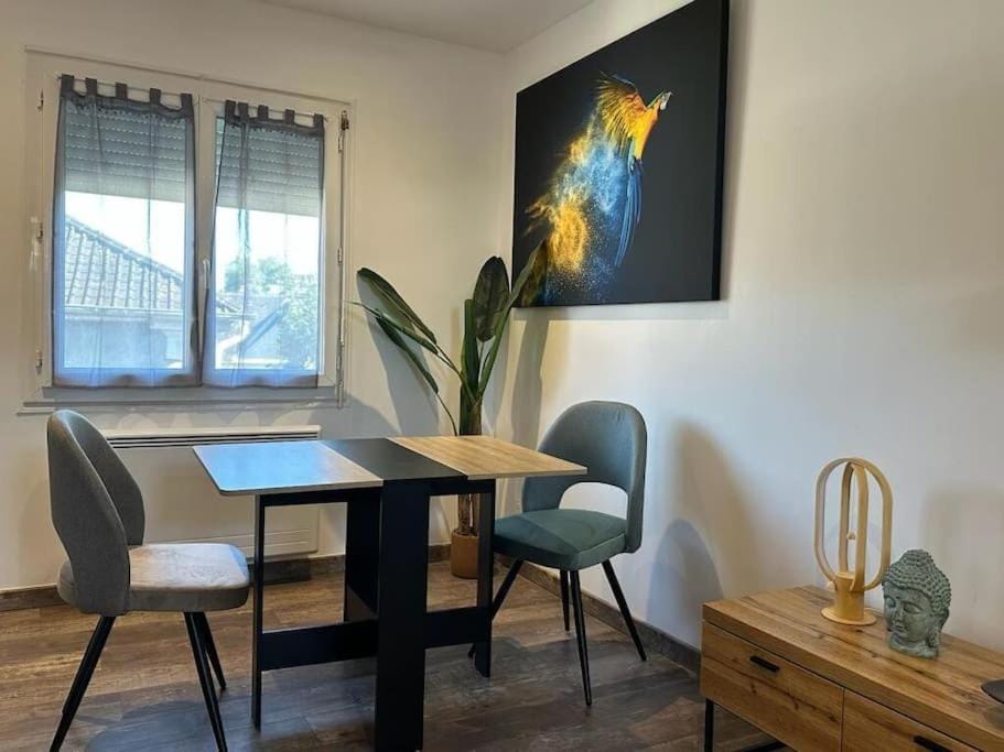 Nid douillet Apartment in Pau