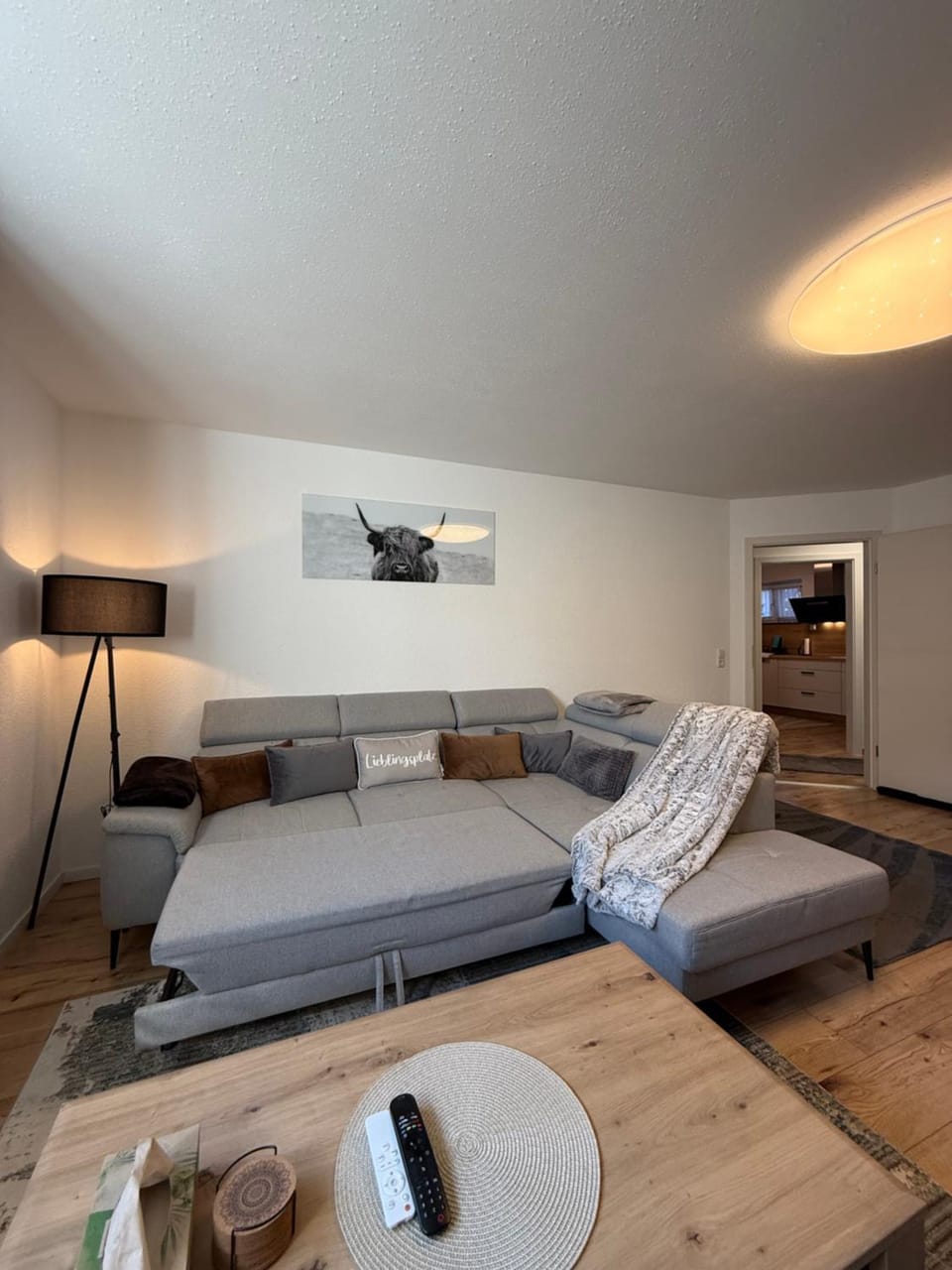 Living room, Photo of the whole room, Seating area