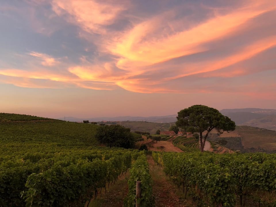 Natural landscape, Hiking, Sunset