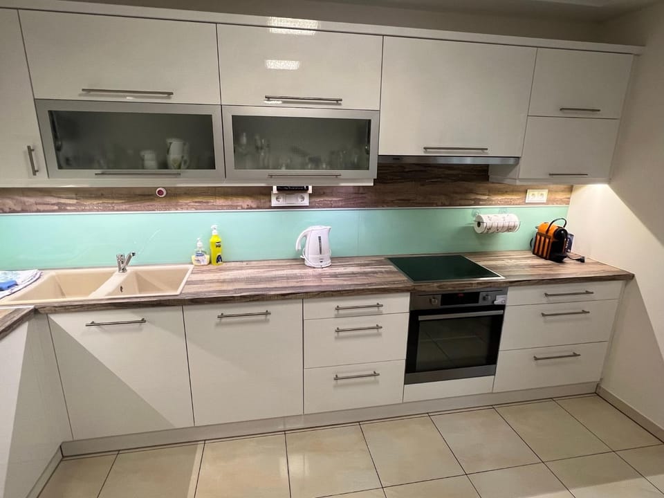 Kitchen or kitchenette, dishwasher, minibar, pet friendly, stove