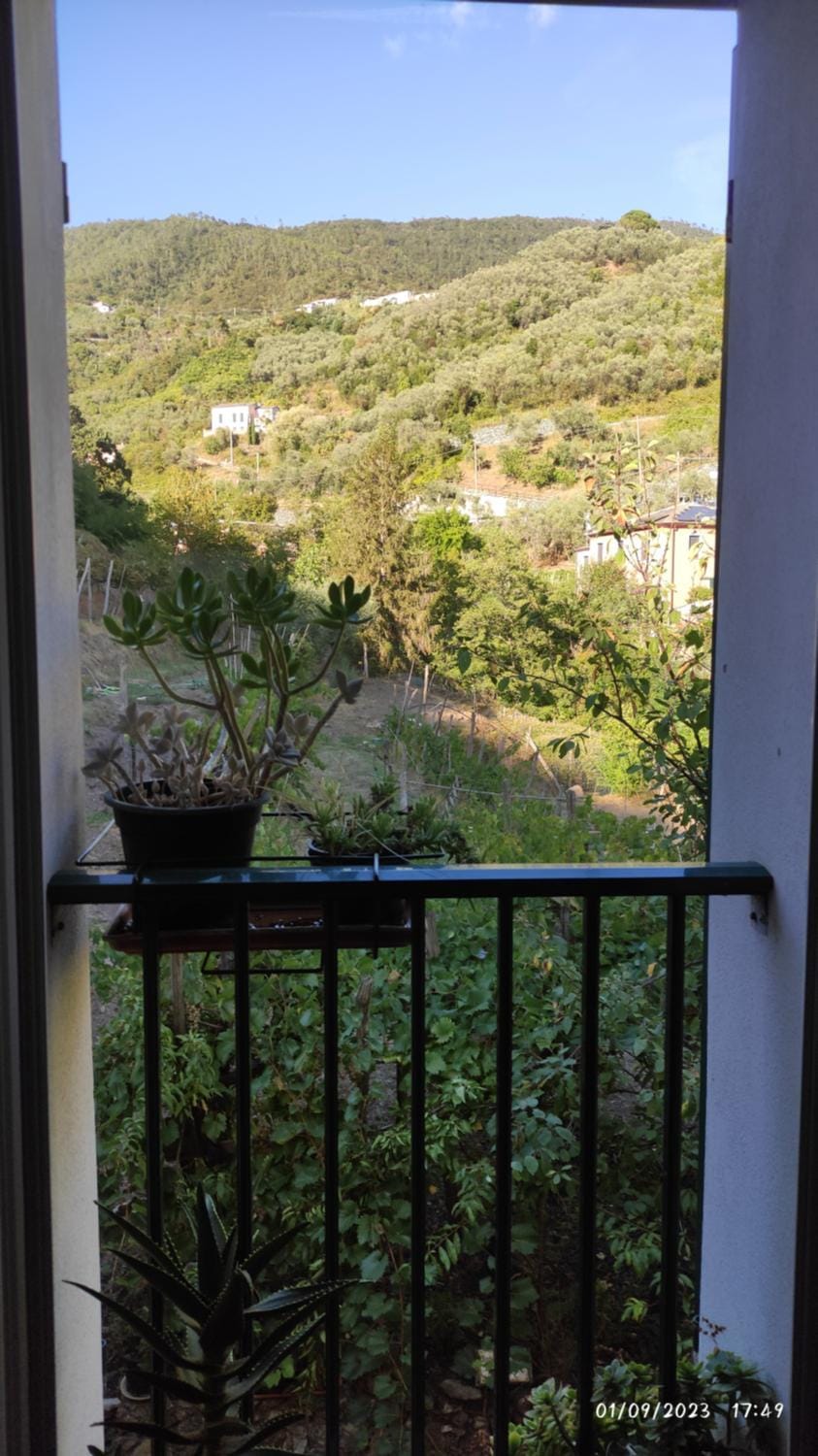 View (from property/room)