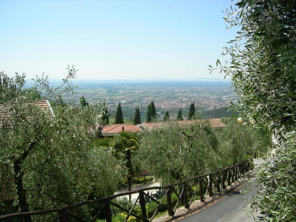 Natural landscape