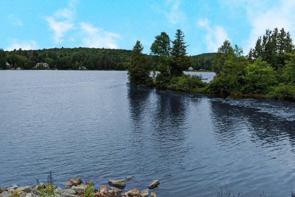 Chalet L'Écureuil (waterfront, modern, spa, BBQ) Chalet in Quebec