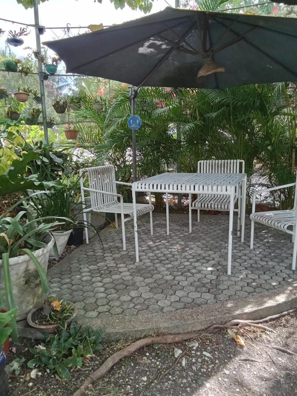 Property building, Patio, Garden, Garden view