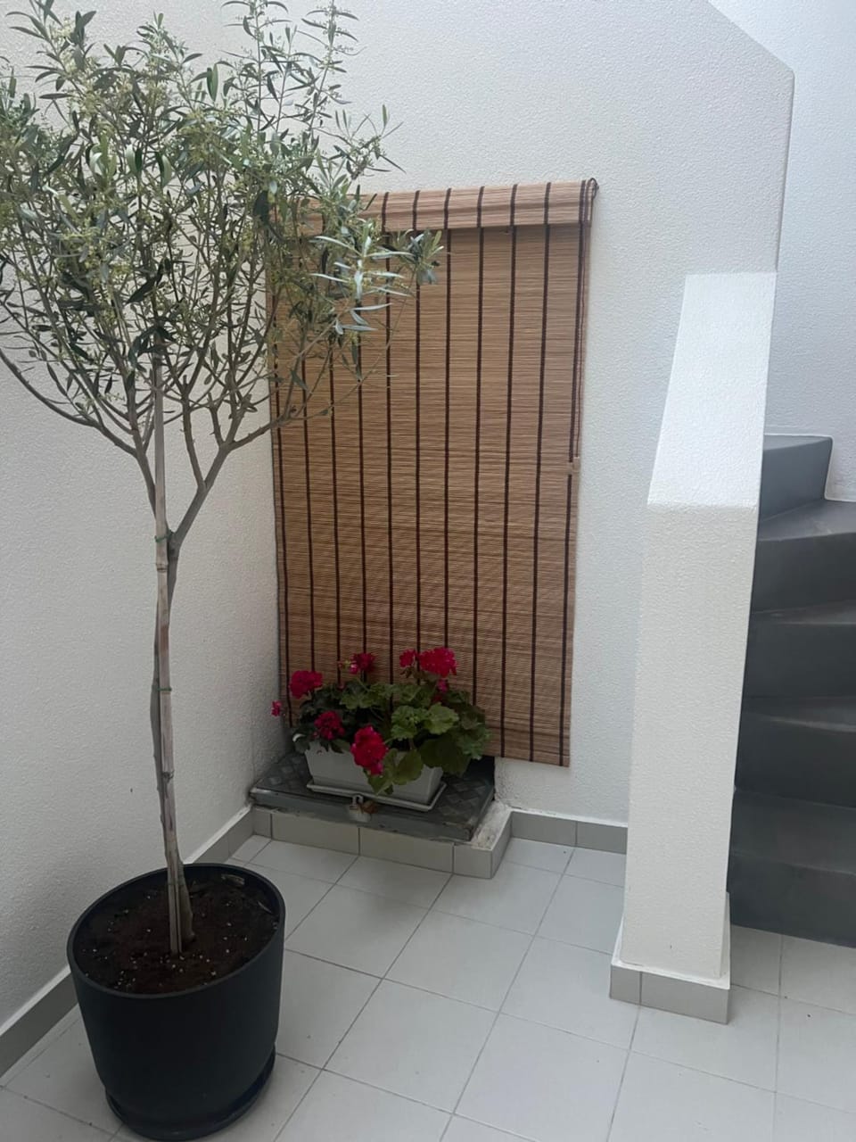 ΟTTO apts Apartment in Kea-Kythnos