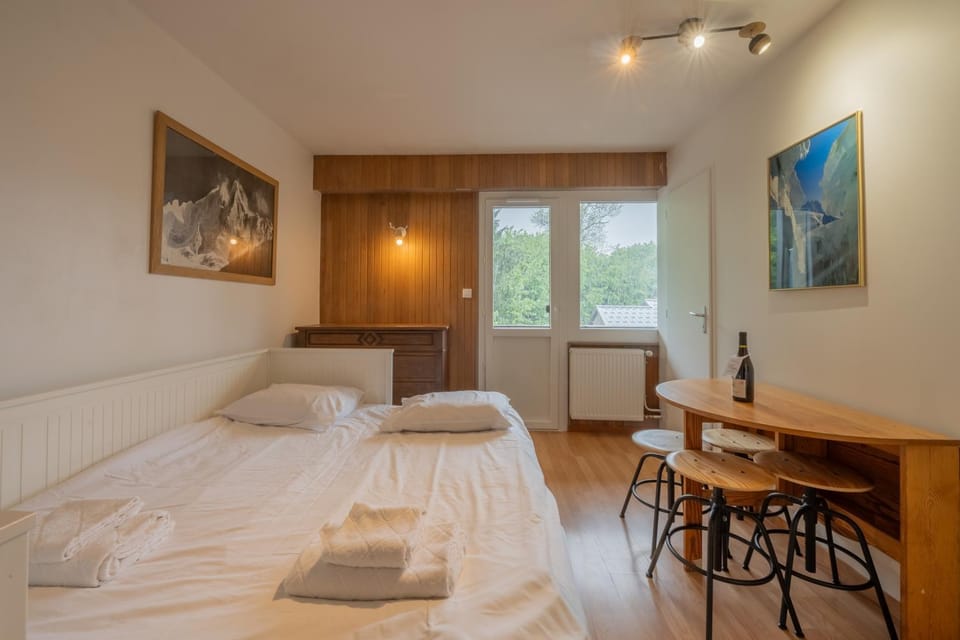 Apt. La Larze 58 - Happy Rentals Apartment in Chamonix