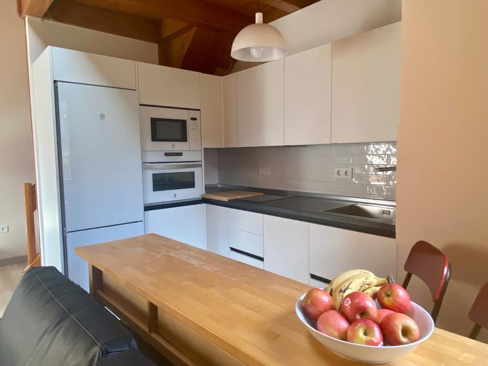 Duplex Kasares en Sesué No VU HUESCA24037 Apartment in Catalonia