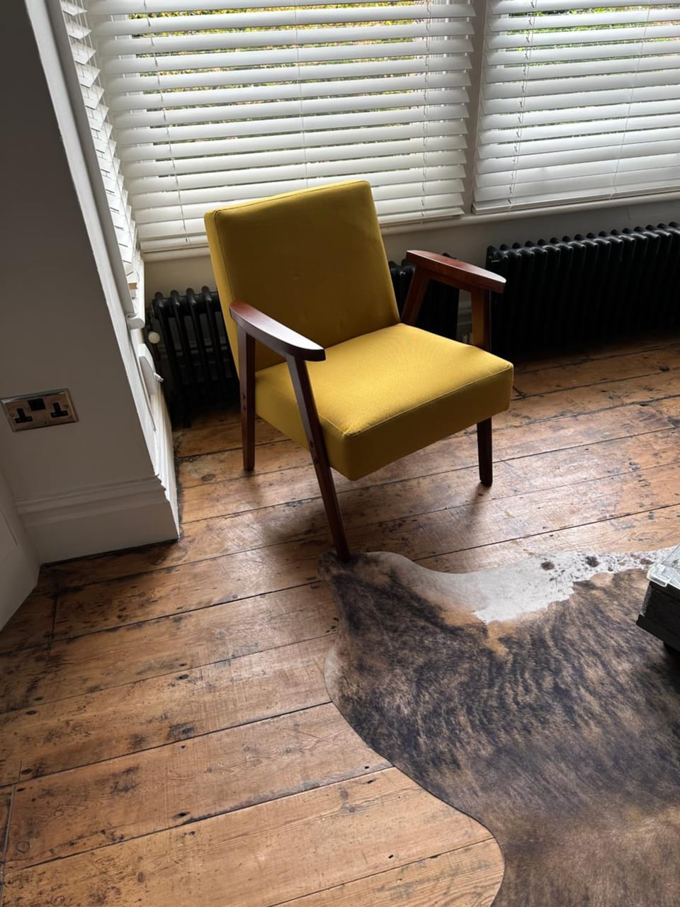 Quirky spacious ground floor Victorian garden flat Apartment in Worthing