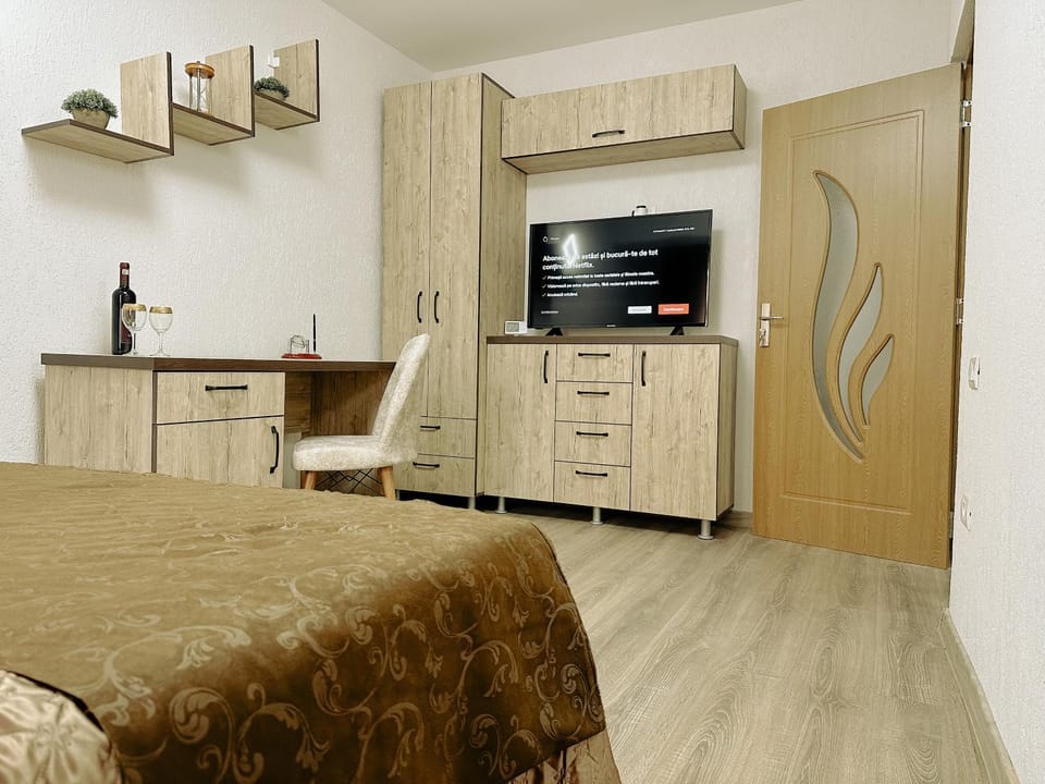 Studio 63 Apartment in Romania