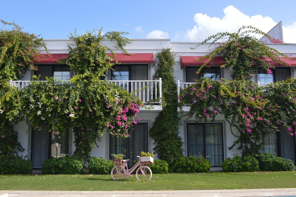 Property building, Facade/entrance, Garden