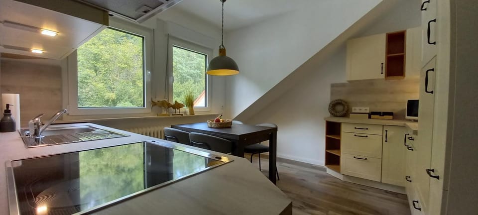 Kitchen or kitchenette, Dining area