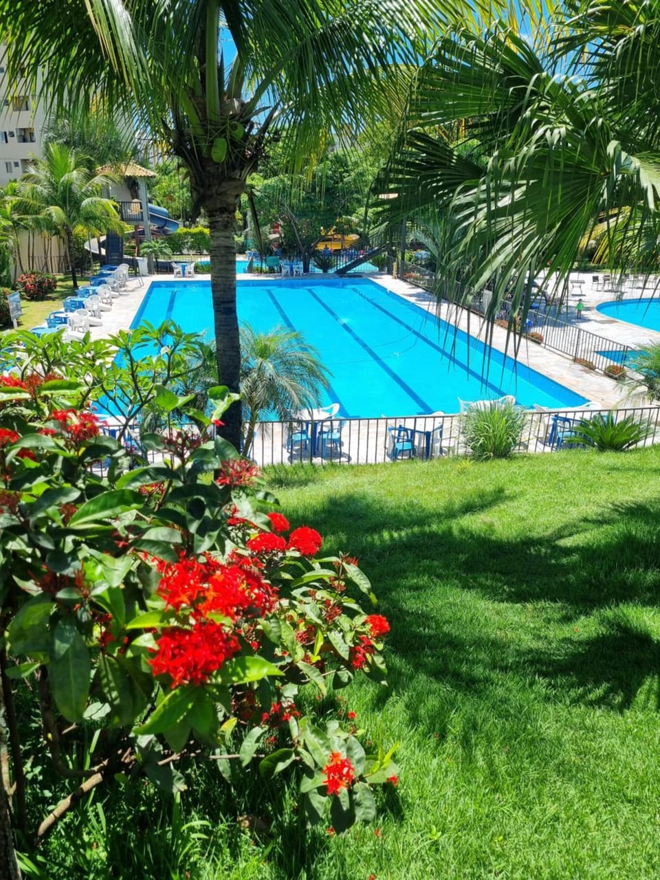 Day, Garden view, Swimming pool