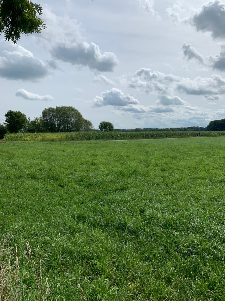 Natural landscape