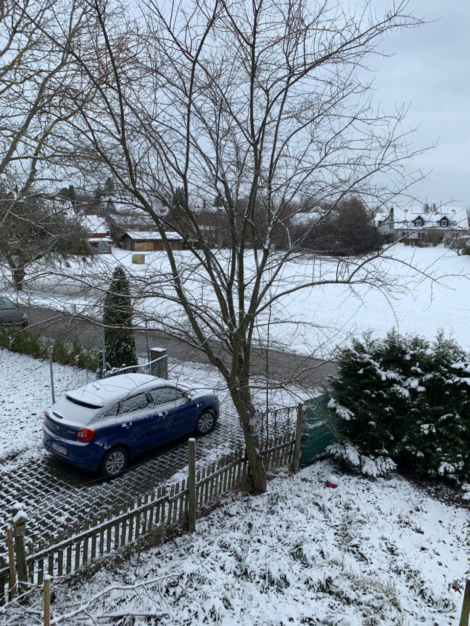 Natural landscape, Winter