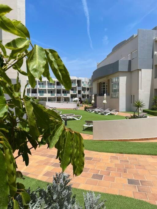Garden, Garden view