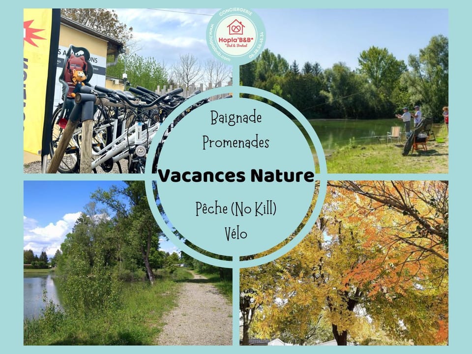 Natural landscape, Activities