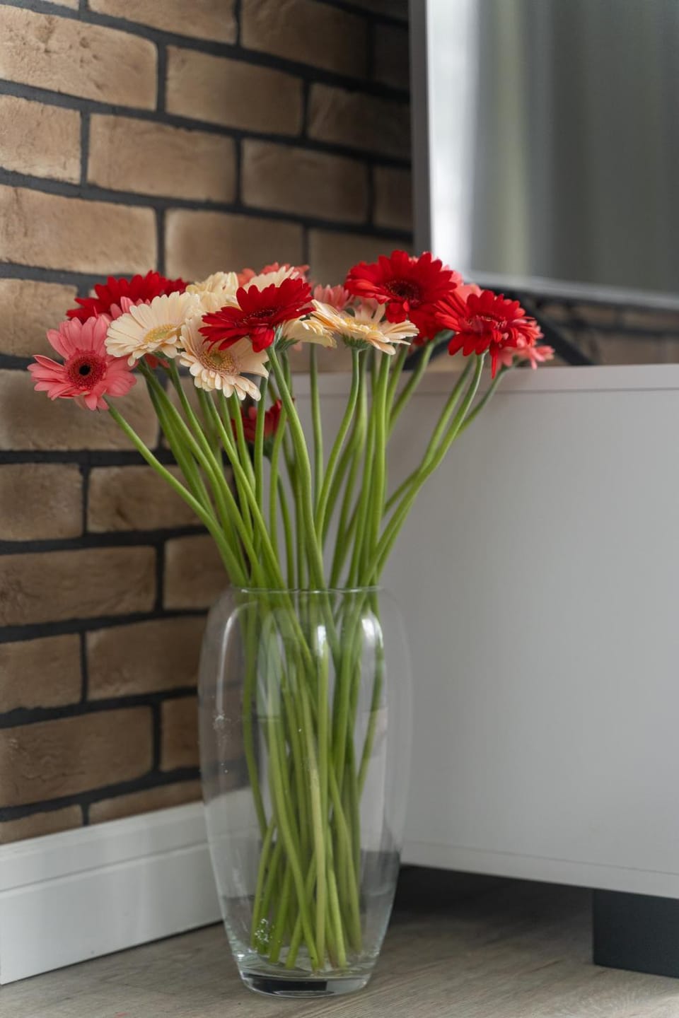 Apartament Doris 1 z pięknym widokiem Apartment in West Pomeranian Voivodeship, Poland