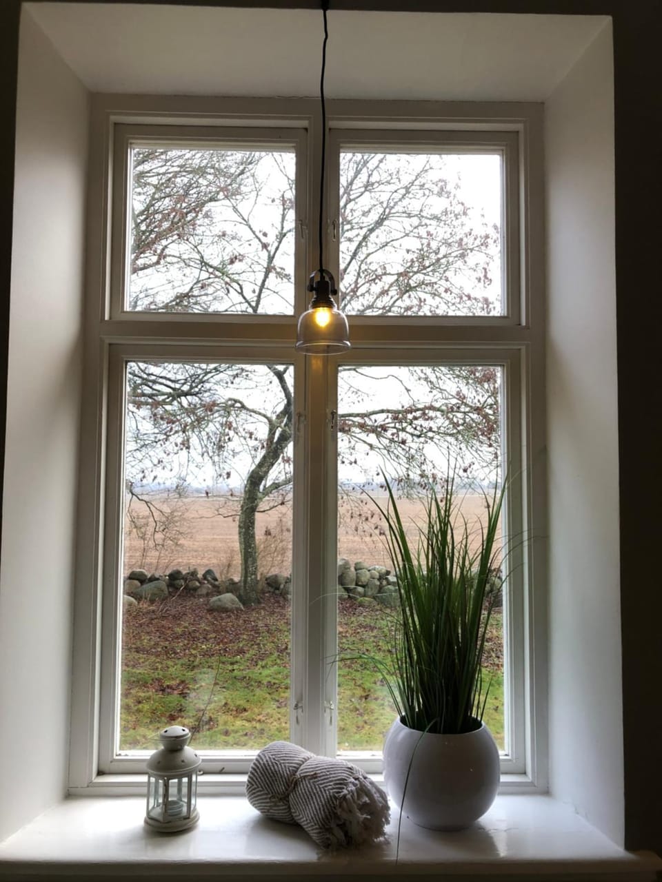 Garden view