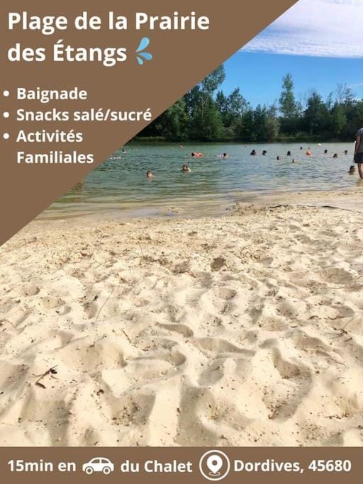 Le Chalet - Piscine - Netflix and chill Chalet in Centre-Val de Loire