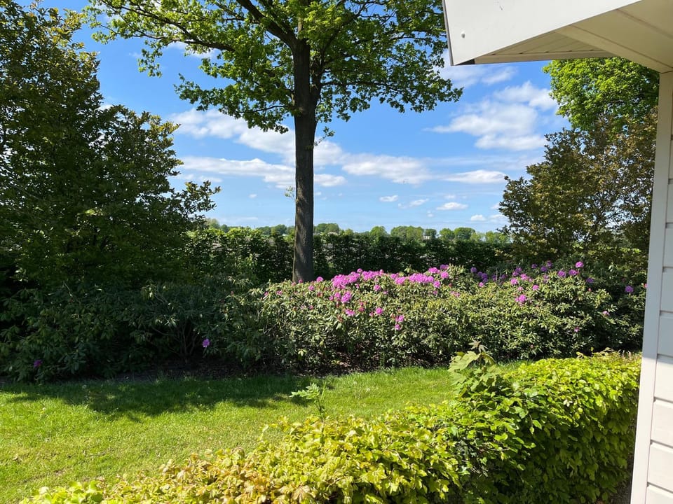 Garden, Garden view