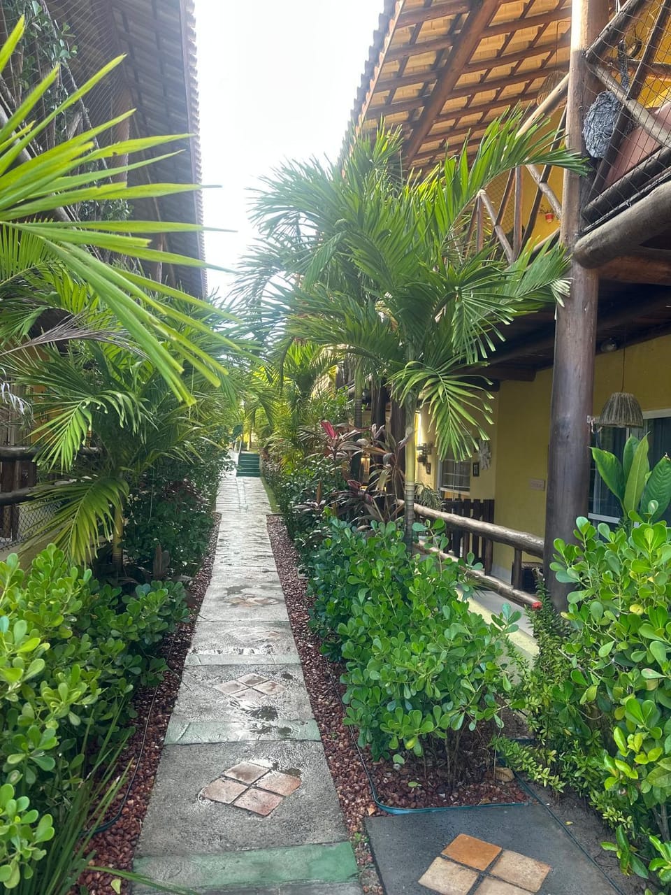 Natural landscape, Garden, Garden view