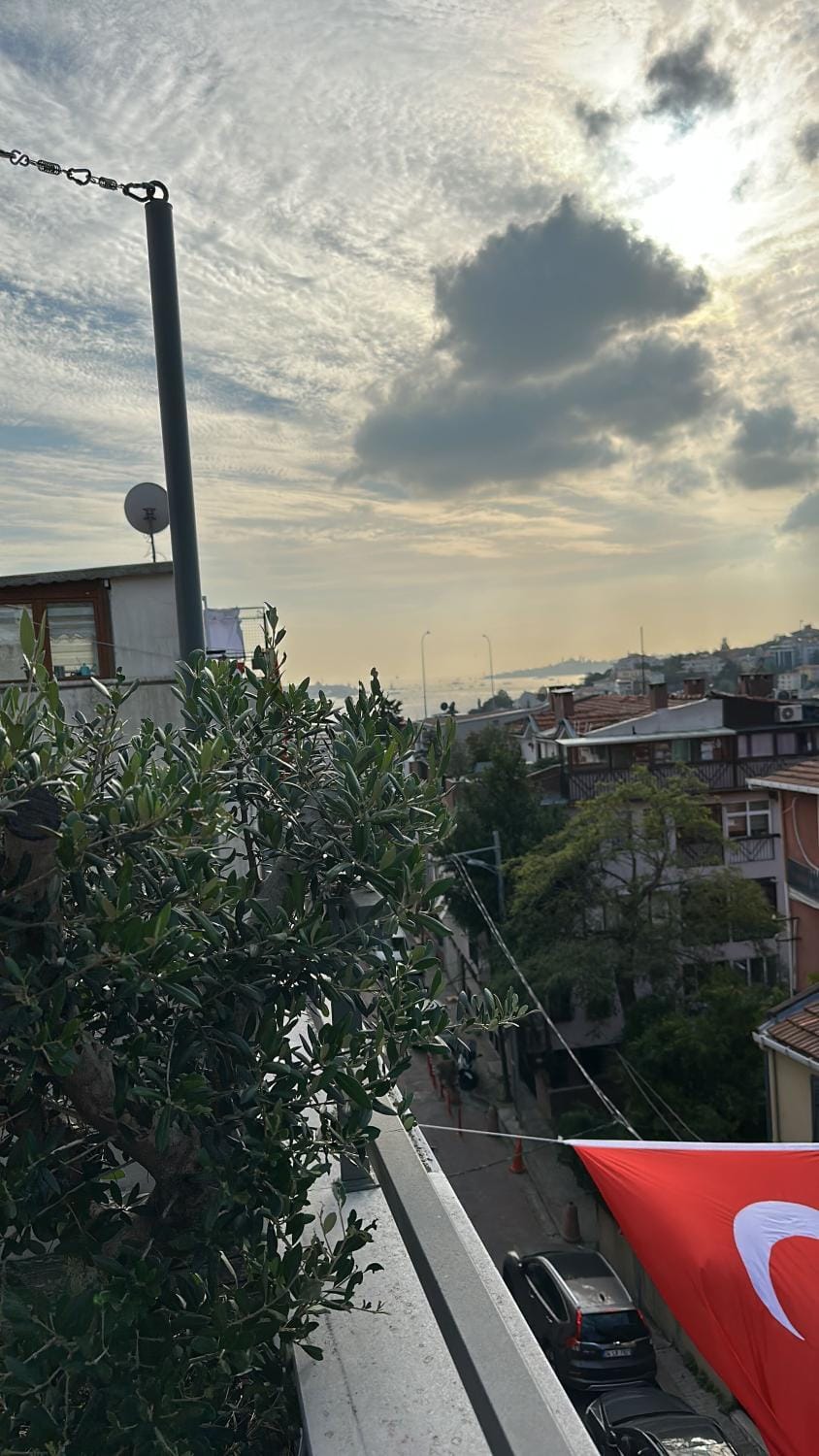 Sea view