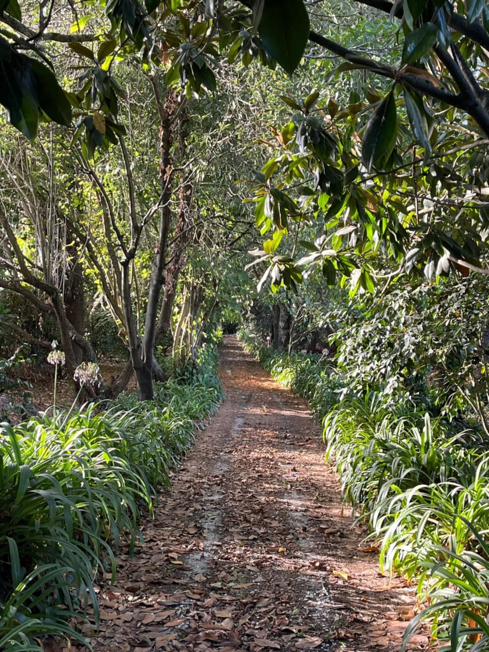 Hiking, Garden view