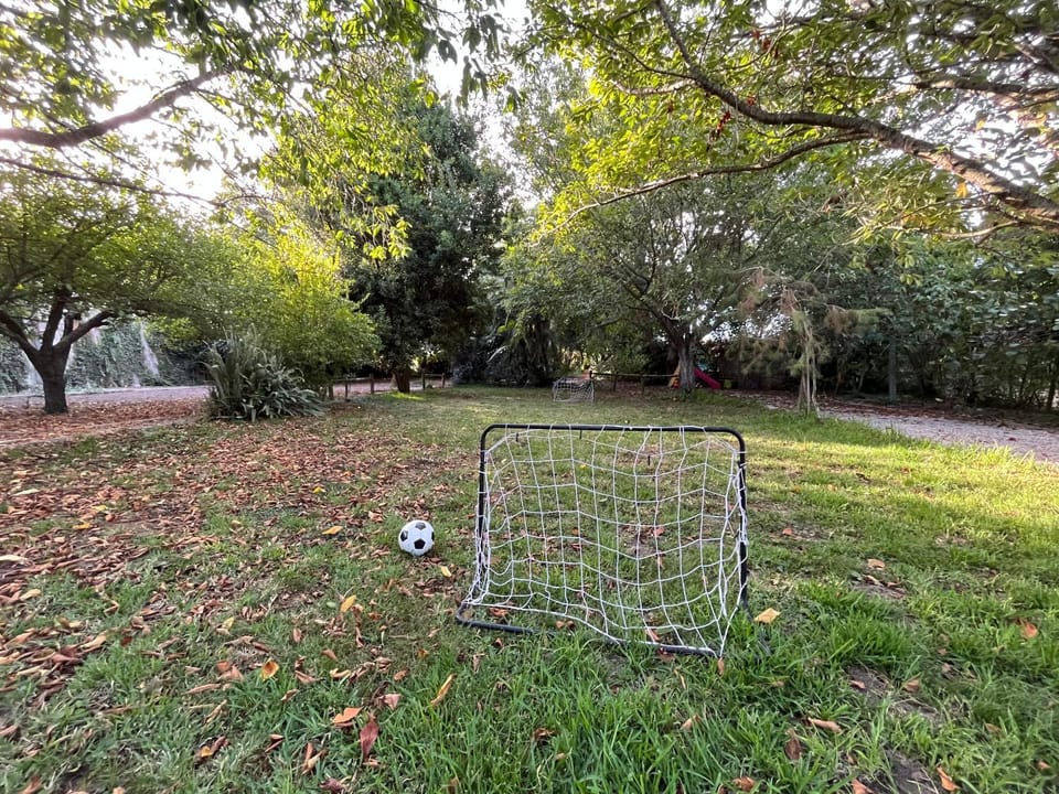 Natural landscape, Garden view