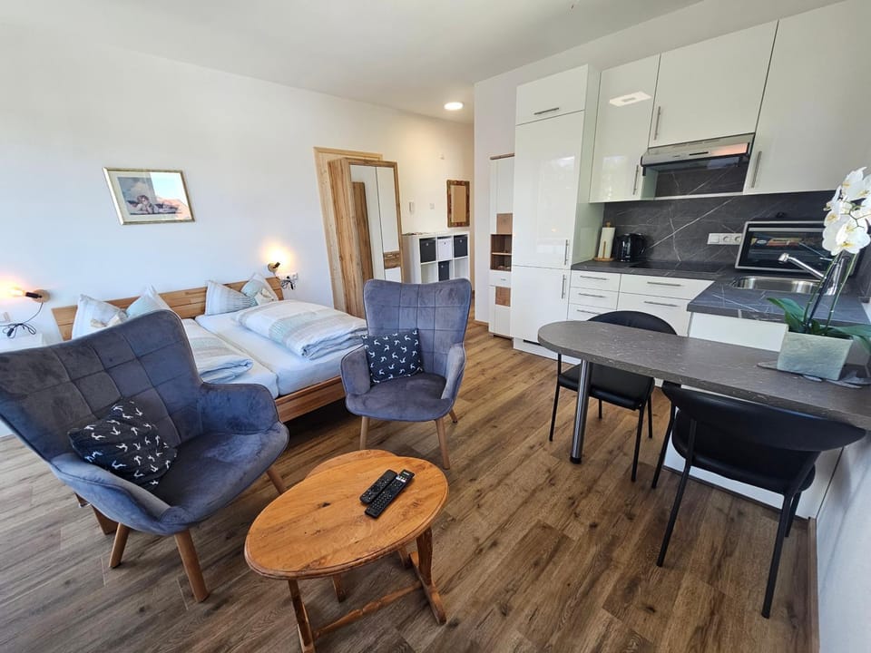Kitchen or kitchenette, Living room, Seating area, Dining area, stove