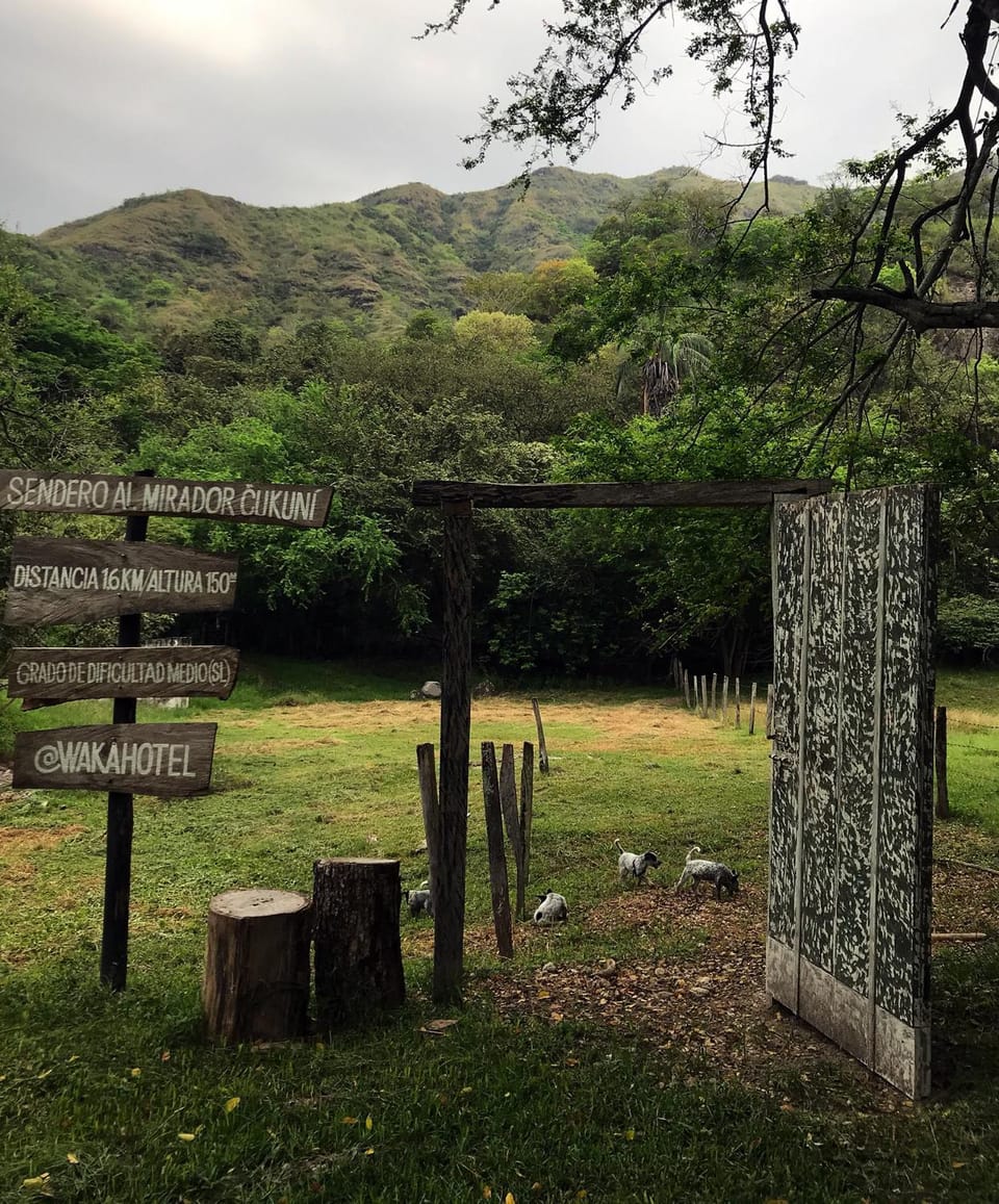 Hiking