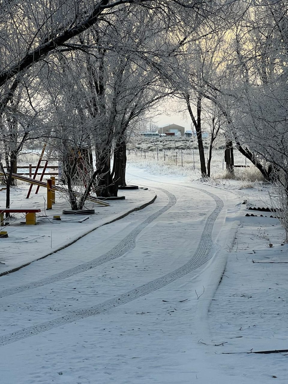 Natural landscape, Winter